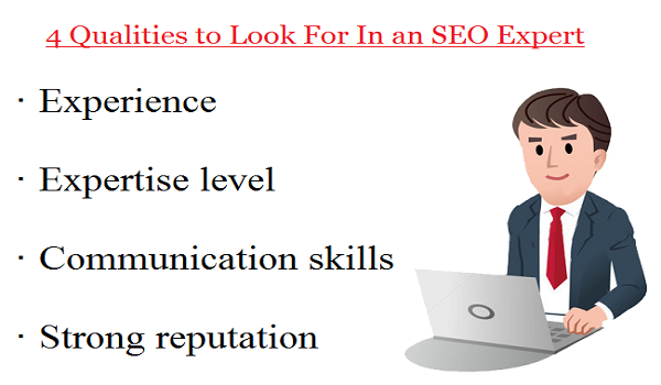 SEO Expert