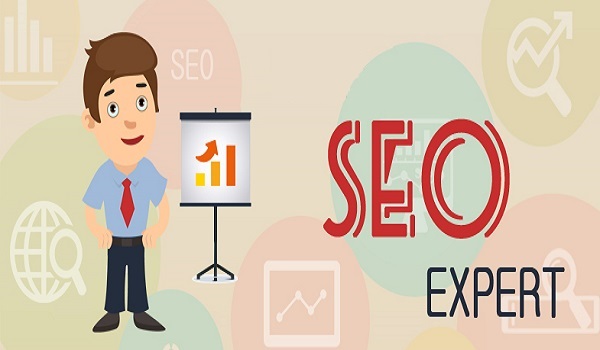 What Are the Qualities You Should Look For in an SEO Expert?