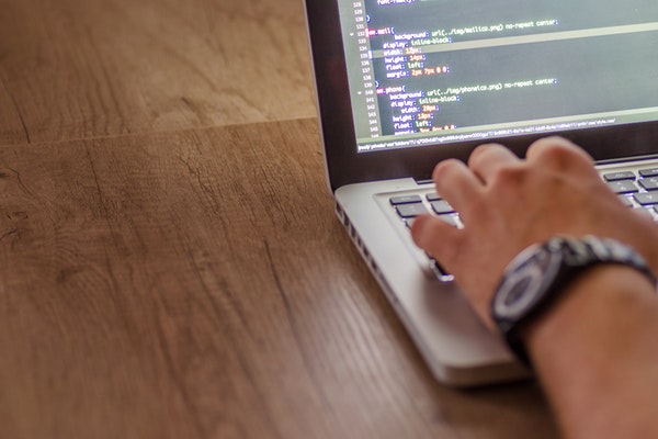 Reasons to Choose Experienced Web Developers for Building a WordPress Site
