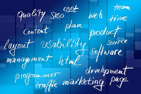 SEO Expert