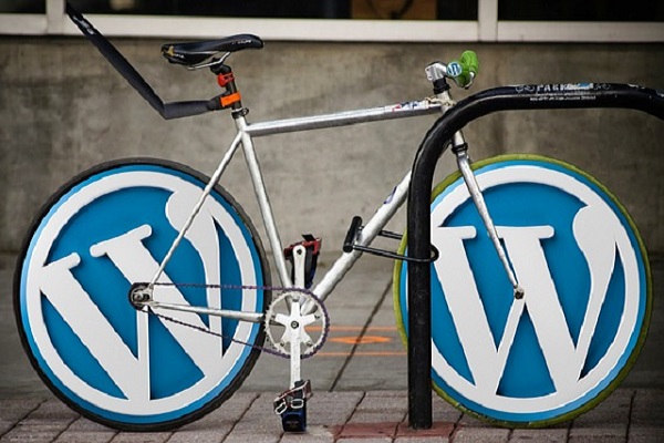 Want to set up a Brand-new WordPress Site? Here are 7 Best Themes To Select From